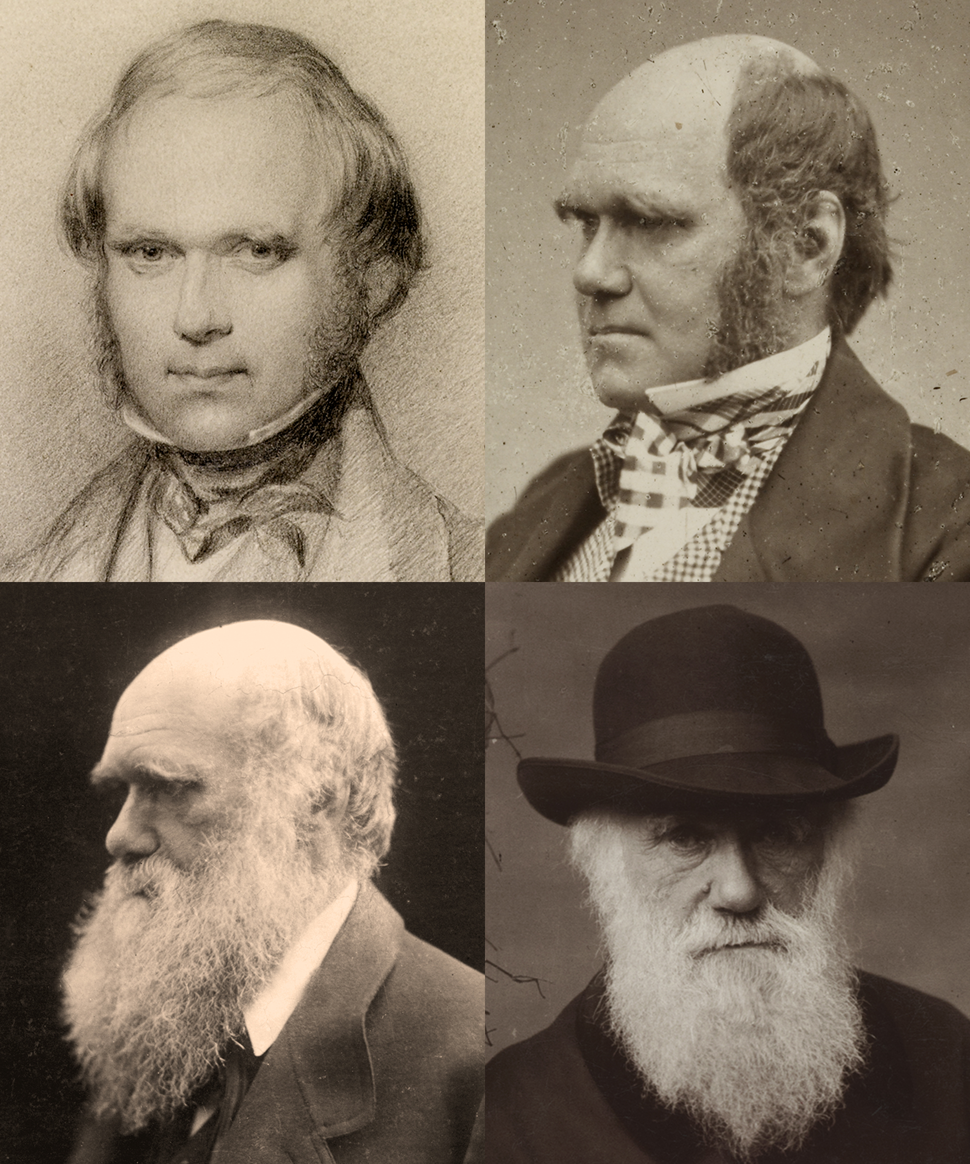 Covid 19 and Survival of the fittest( Charles Darwin)