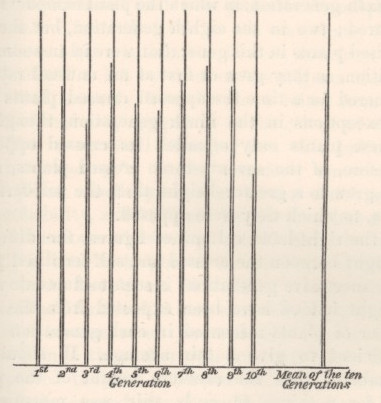 Diagram showing the mean heights of the crossed and self-fertilised plants of Ipomoea purpurea