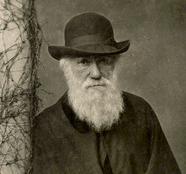 Darwin Correspondence Project