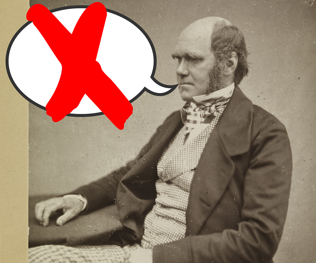 Survival Of The Fittest Meaning: Did Charles Darwin Coin The Famous Phrase?