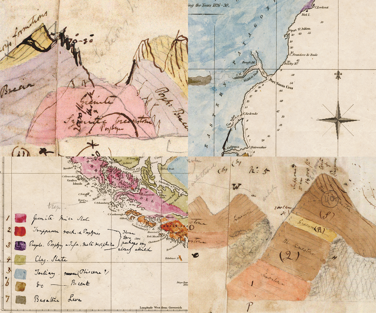 Some of Darwin's geological drawings
