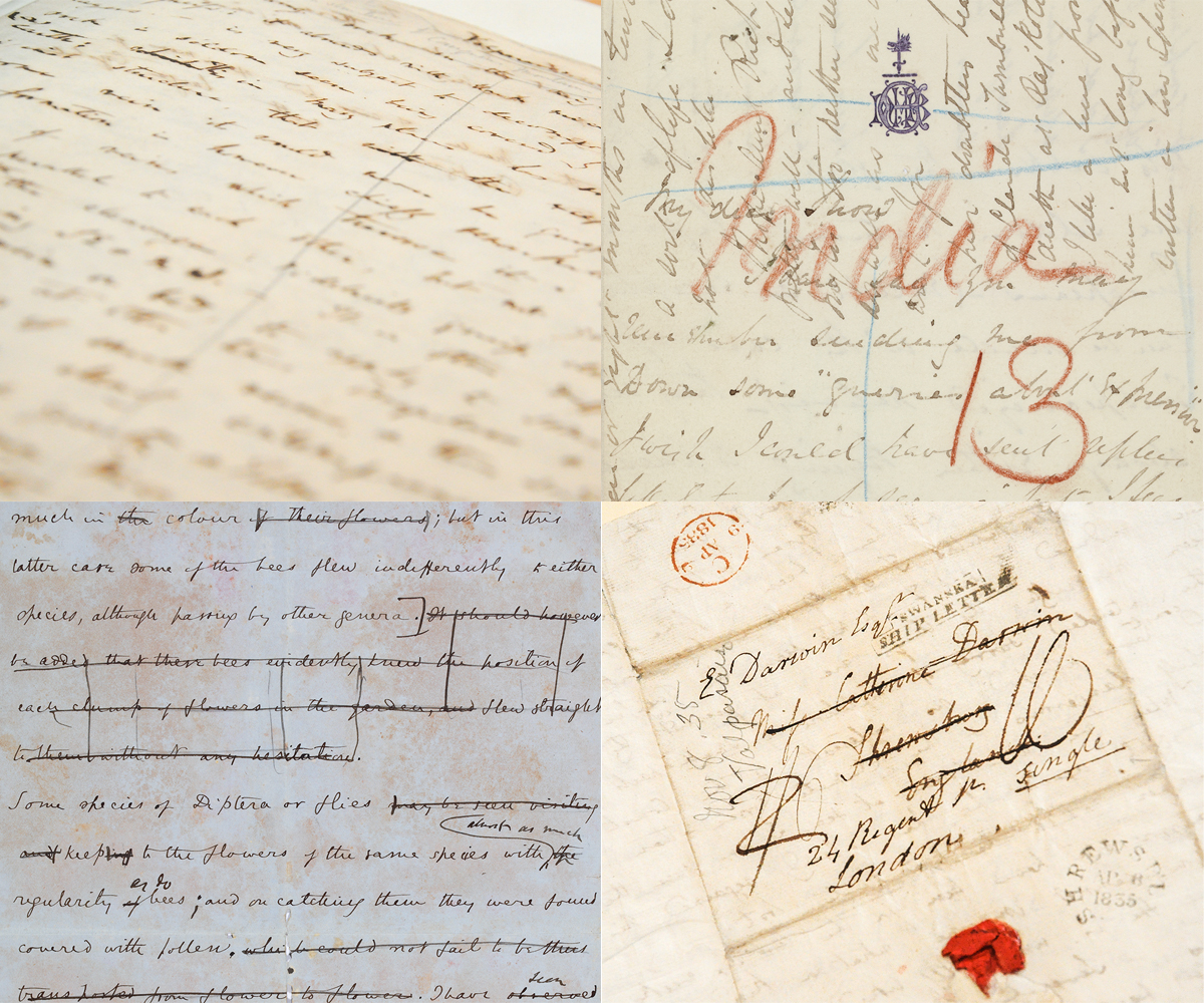 Letters as a Primary Source  Darwin Correspondence Project