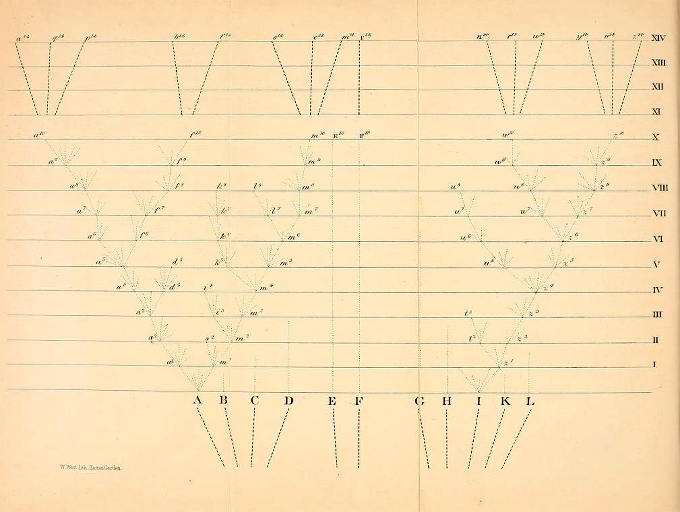 Divergence figure from the Origin of Species