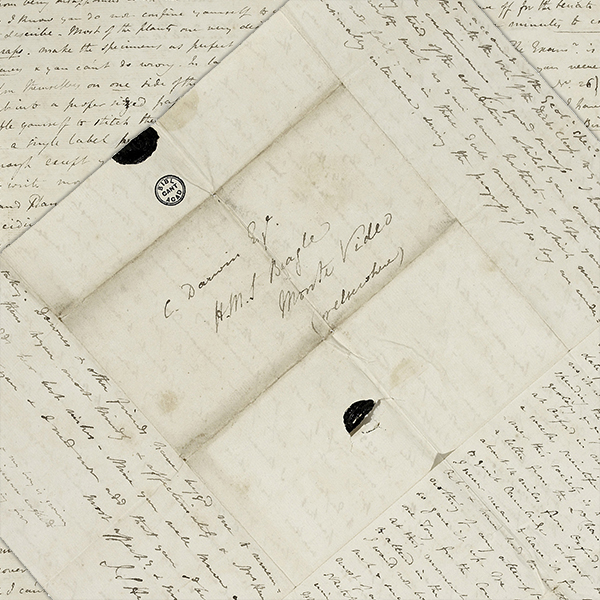 close up of letter