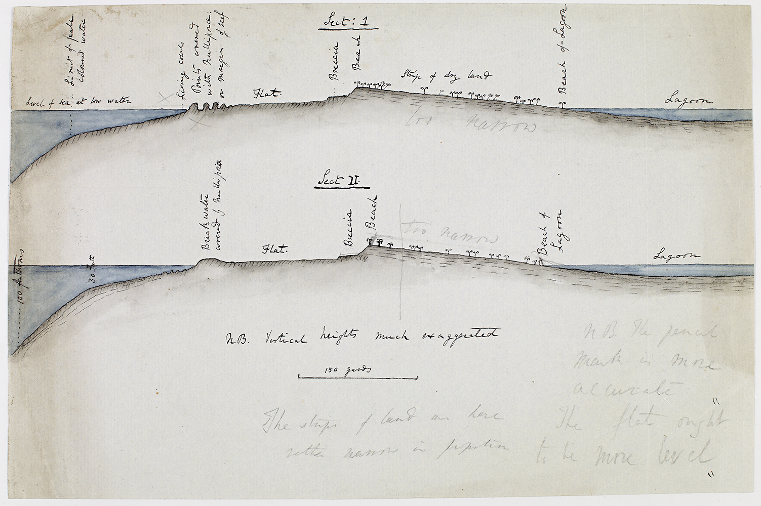 Darwin & coral reefs  Darwin Correspondence Project