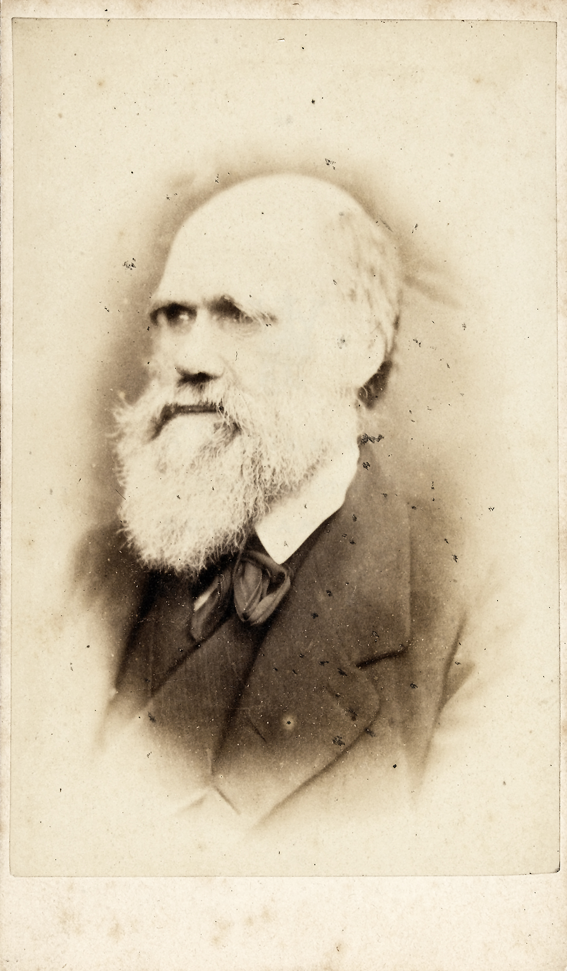 Charles Darwin quote: Whenever I have found that I have blundered, or that