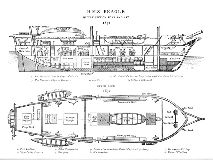 voyage of beagle map