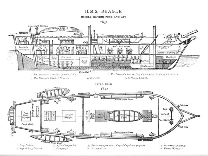 voyage of the beagle timeline