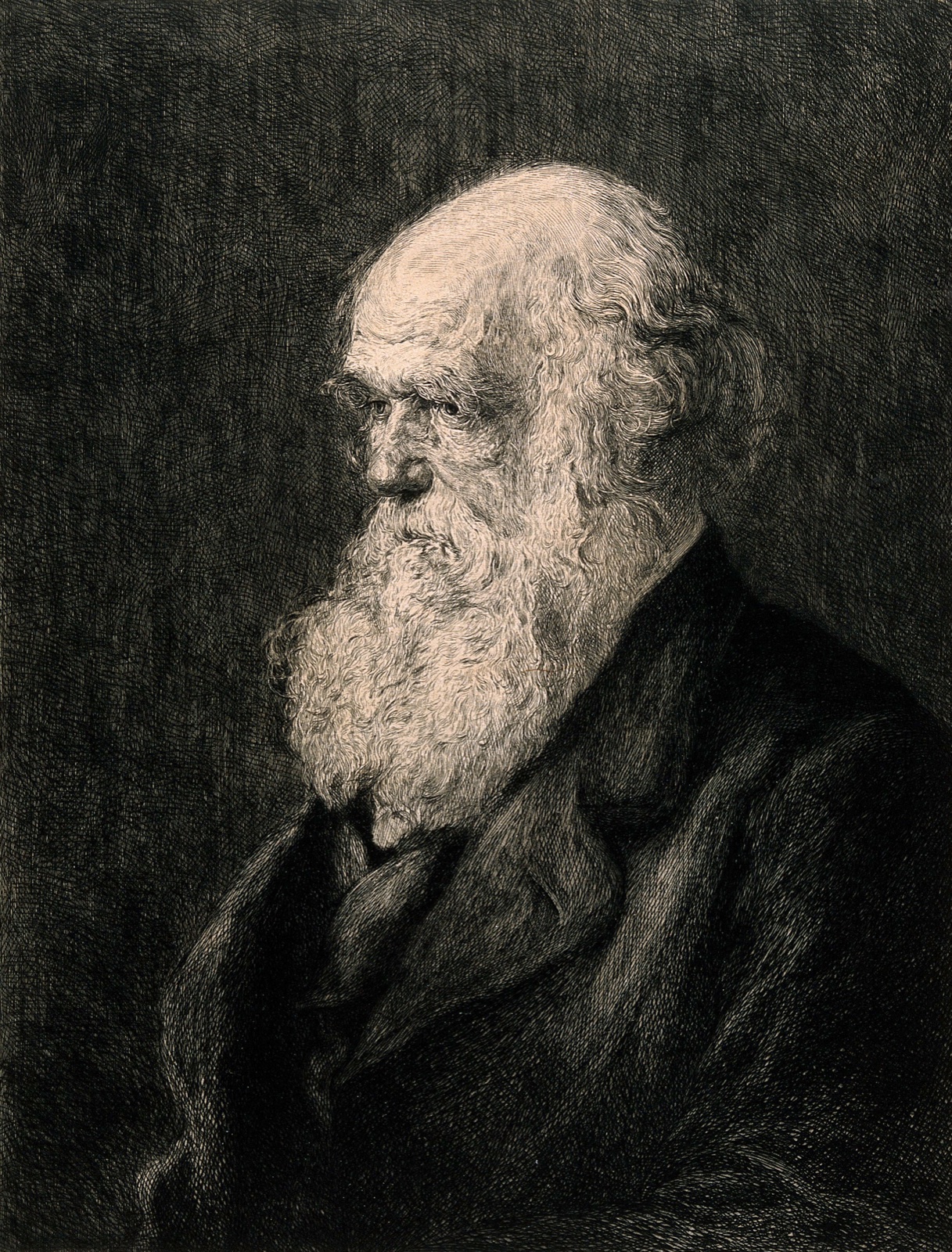 1.10 Rajon etching, variant state 1.10 Rajon etching, variant state