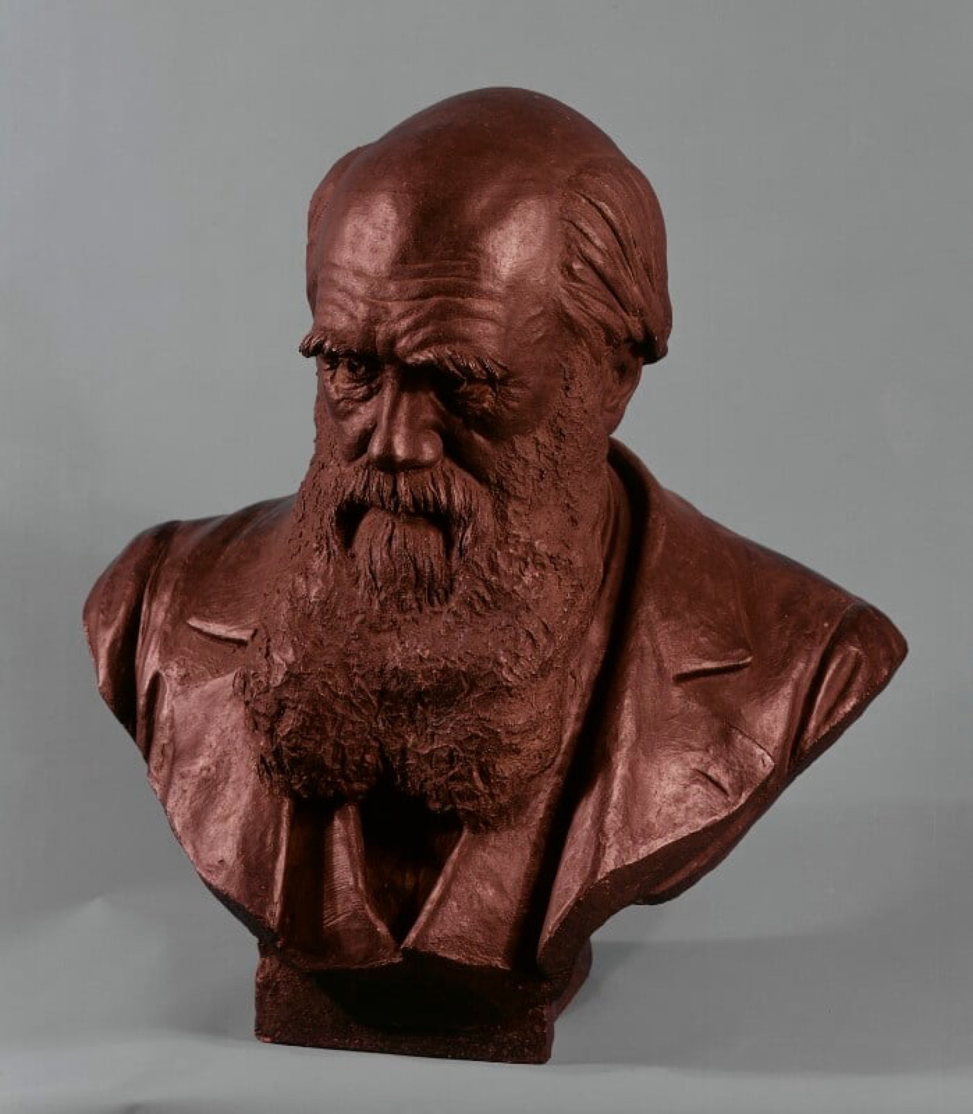 2.15 Boehm terracotta bust (NPG) 2.15 Boehm terracotta bust (NPG)