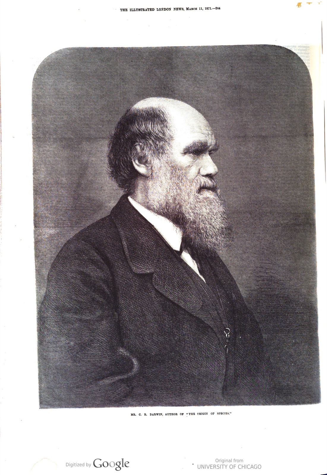3.11 Edwards, in Illustrated London News 3.11 Edwards, in Illustrated London News