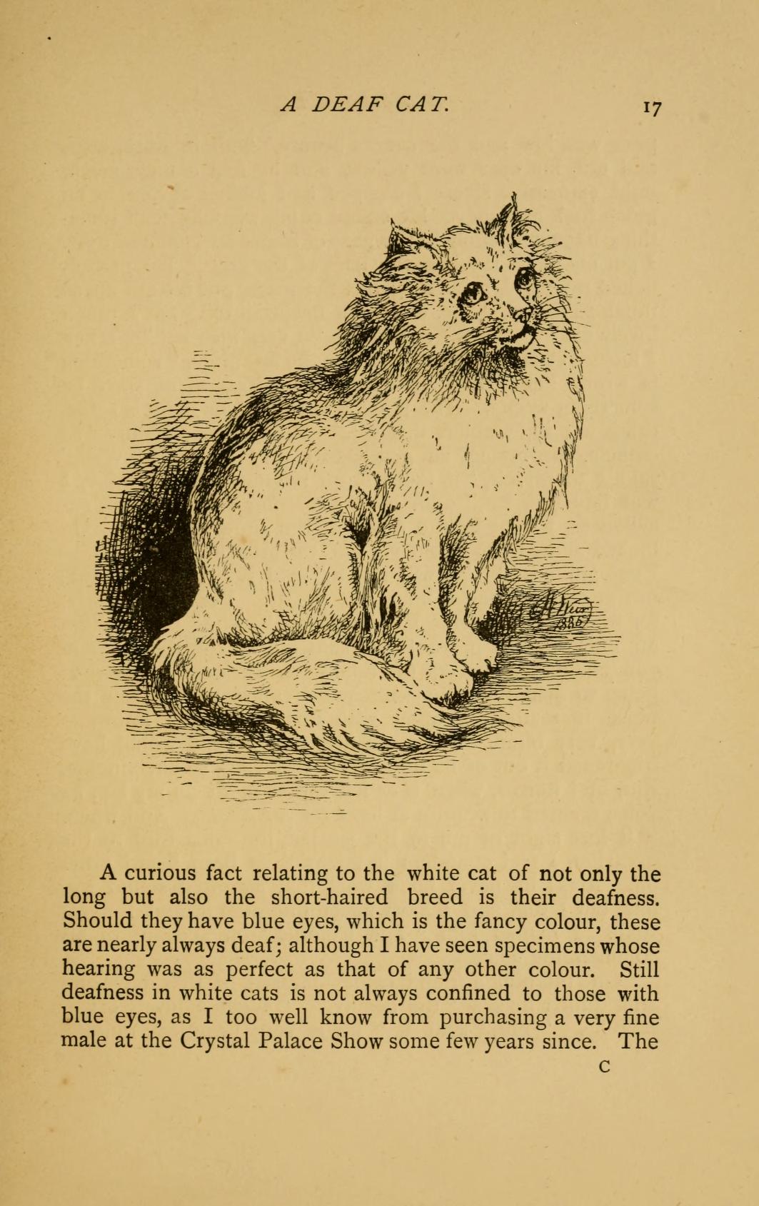 Correlation of growth: deaf blue-eyed cats, pigs, and poison | Darwin ...