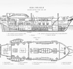 beagle voyage darwin